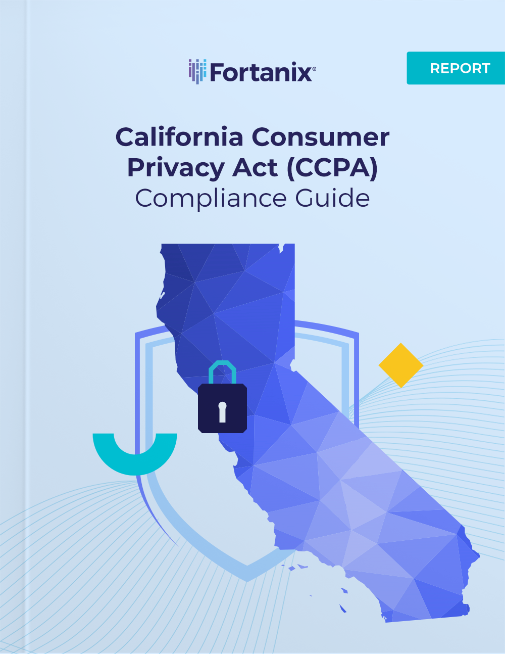 California Consumer Privacy Act (CCPA) Compliance Guide - Report